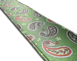 Nepperhan Paisley Suspenders - Green